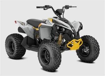 Can-Am Renegade 110 2024