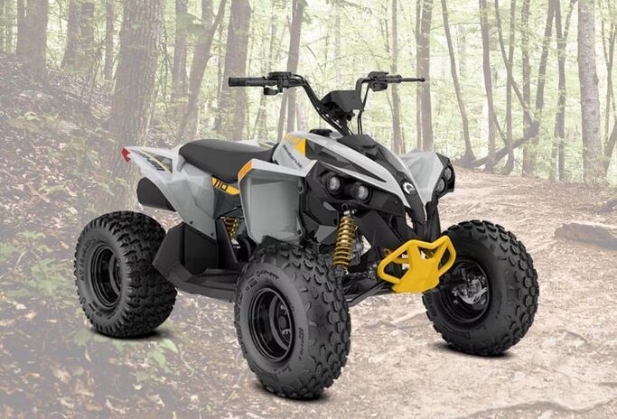 Can-Am Renegade Renegade 110 2023
