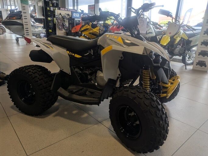 Can-Am Renegade Renegade 110 2023