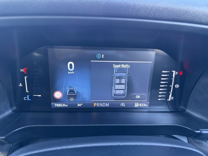 Ford Everest WILDTRAK 3.0L V6 7 SEATER SUV 10AT 2025
