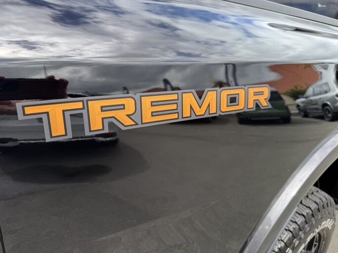 Ford Ranger TREMOR 2.0L 4WD DOUBLE CAB UTE 10AT 2024